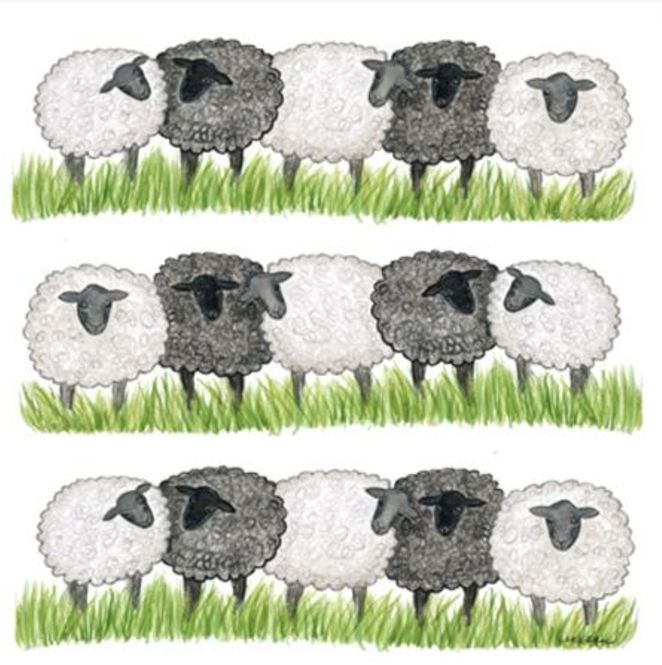 Hovedbilde Servietter - Sauer