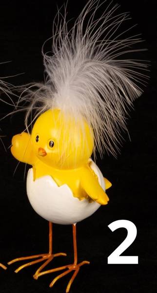Påskekyllinger